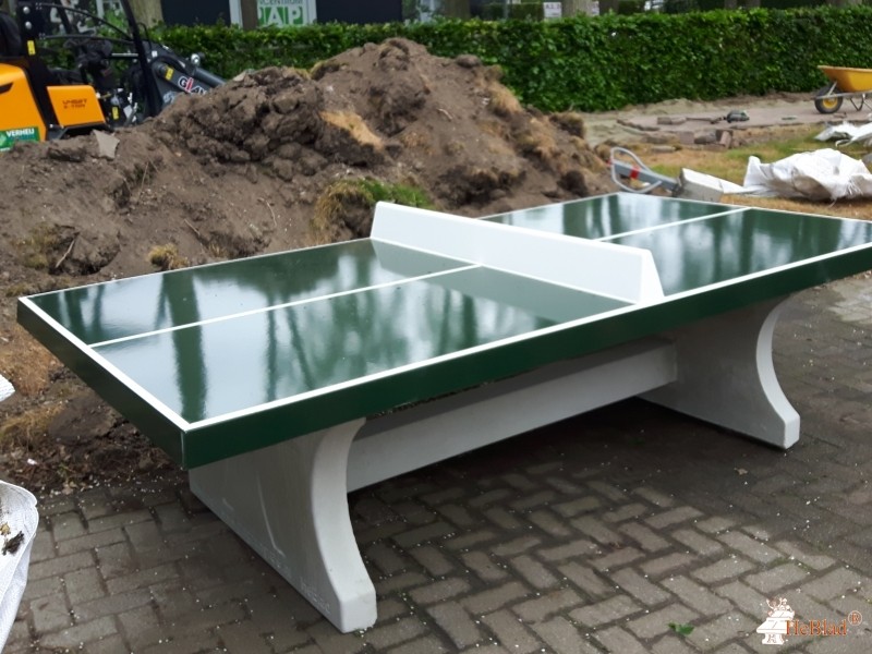 Stichting het Parkhuis uit Dordrecht