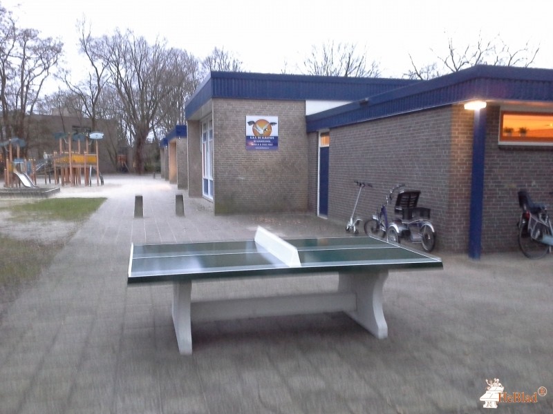Basisschool de Albatros uit Goor