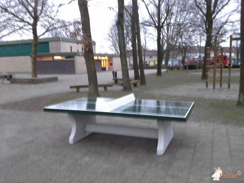 Basisschool de Albatros uit Goor