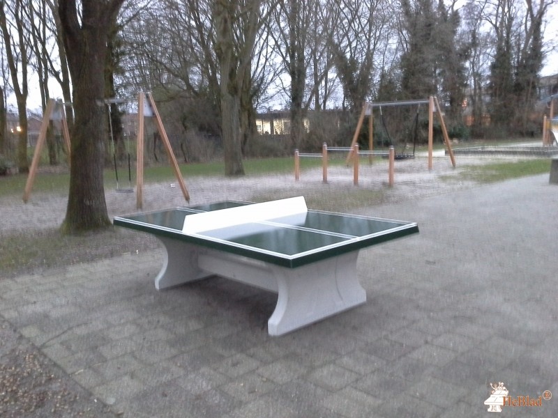 Basisschool de Albatros uit Goor