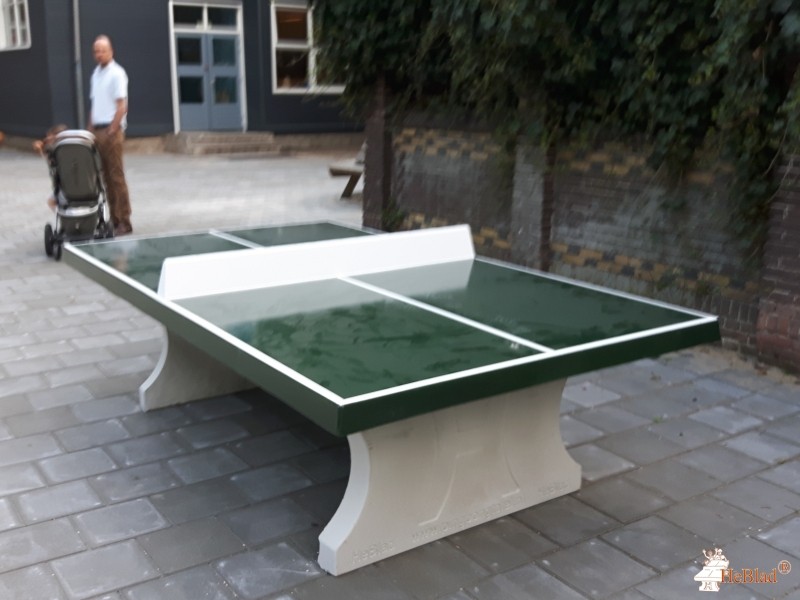 OBS Bos en Vaart uit Haarlem