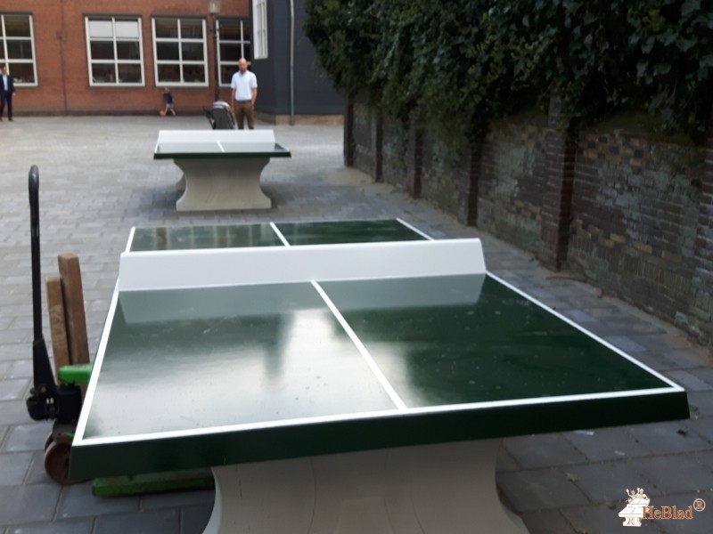 OBS Bos en Vaart uit Haarlem