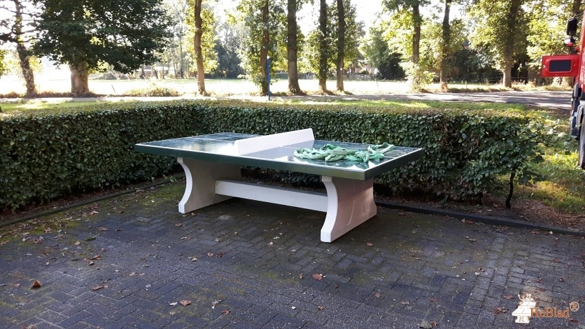Speelplek Tepelenburgweg uit Harskamp