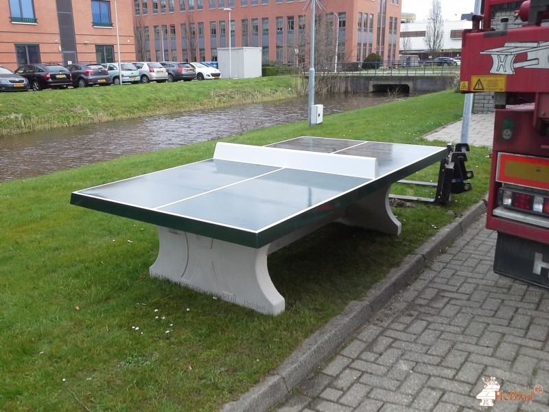 P. Engelsman uit Leiden