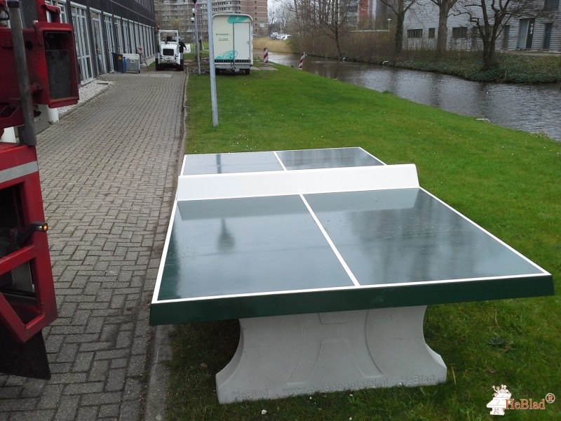 P. Engelsman uit Leiden