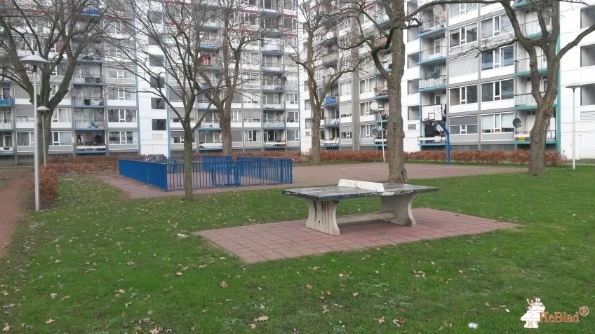 Trapveld Scharlakendreef uit Utrecht