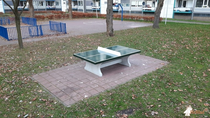 Trapveld Scharlakendreef uit Utrecht