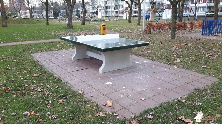 Trapveld Scharlakendreef uit Utrecht