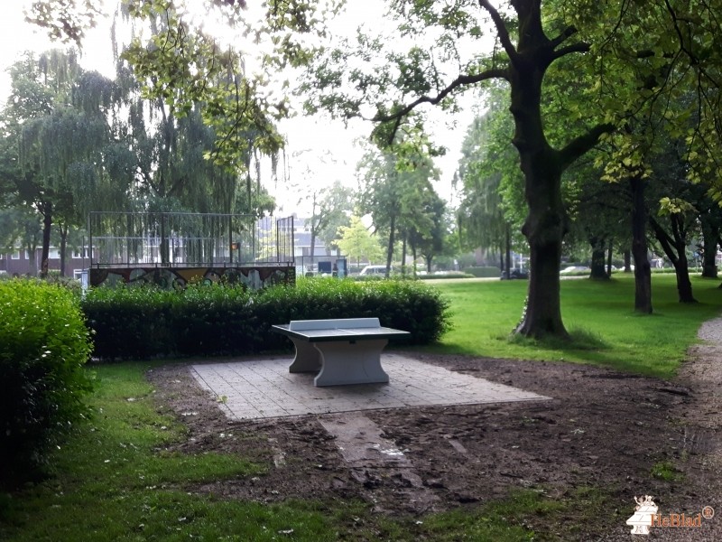 Speelplek Hendrika van Tussenbroeklaan uit Utrecht