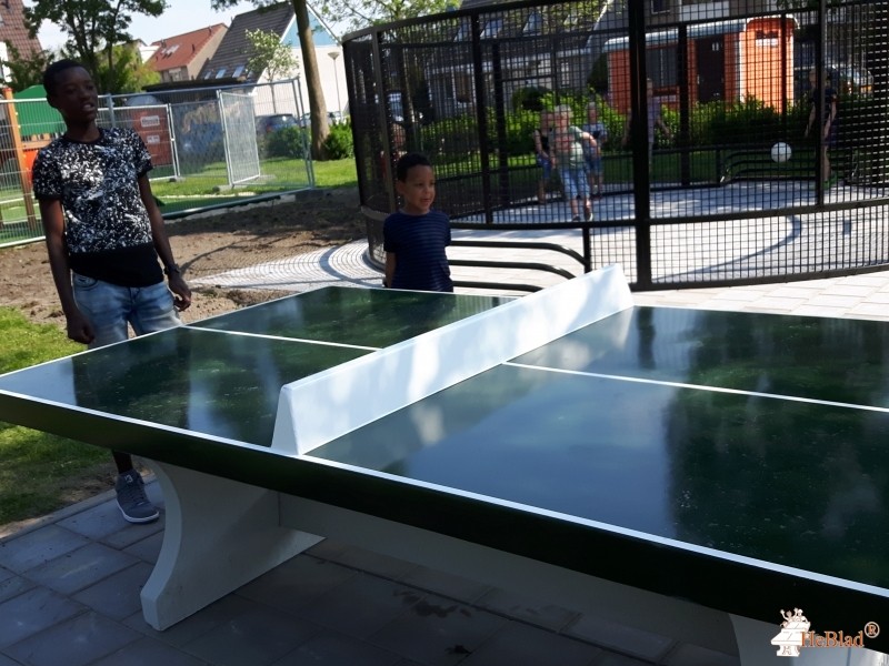 Waterzolder uit Wormer