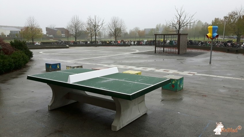 BS De Zevensprong uit Zwolle