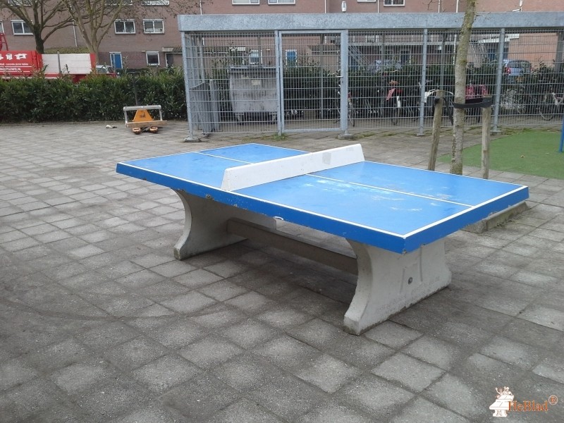 Basisschool Olympia uit Breda