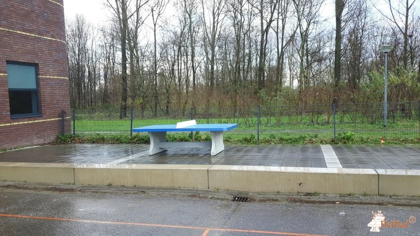 Aventurijn uit Almere