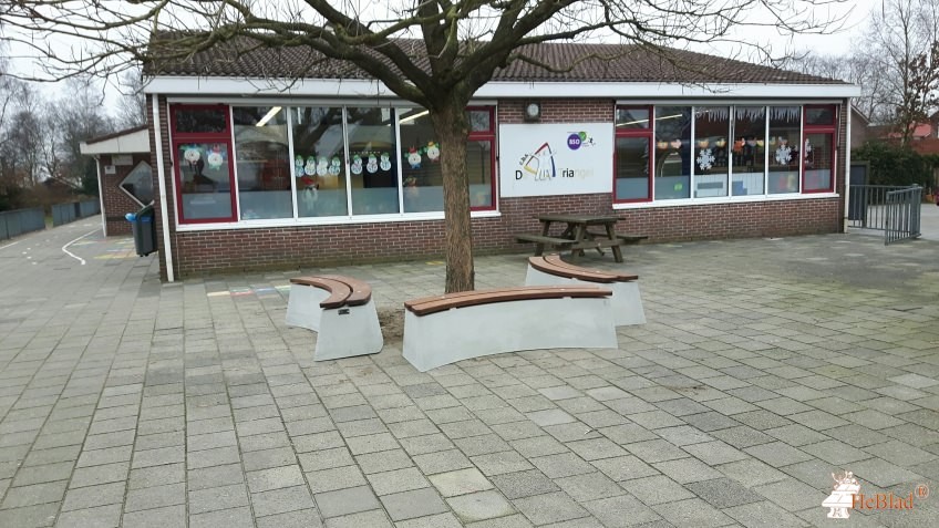 CBS De Triangel uit Emmer-Compascuum