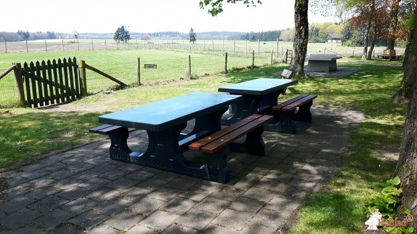 op verhard stuk bij de Kampschuur en boerdeij. Net na het wildhek. uit Hoog-Soeren
