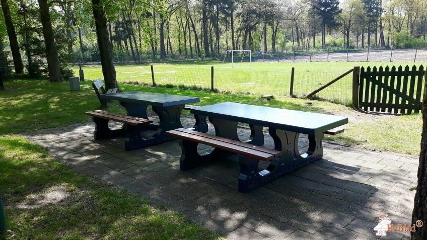op verhard stuk bij de Kampschuur en boerdeij. Net na het wildhek. uit Hoog-Soeren
