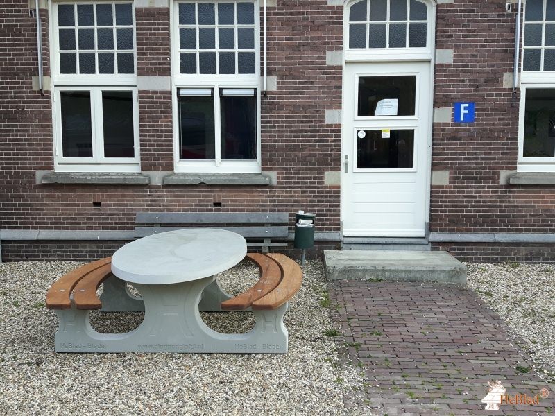 University College Utrecht uit Utrecht
