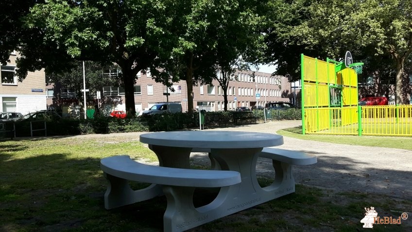 Ruysdaelstraat uit Den Haag