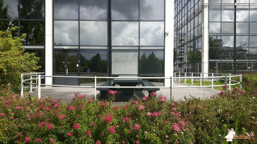 Takeda Nederland BV uit Hoofddorp