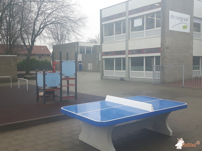 De Rungraaf/ Aloysius Stichting uit Eindhoven