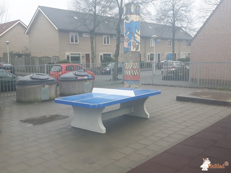 De Rungraaf/ Aloysius Stichting uit Eindhoven