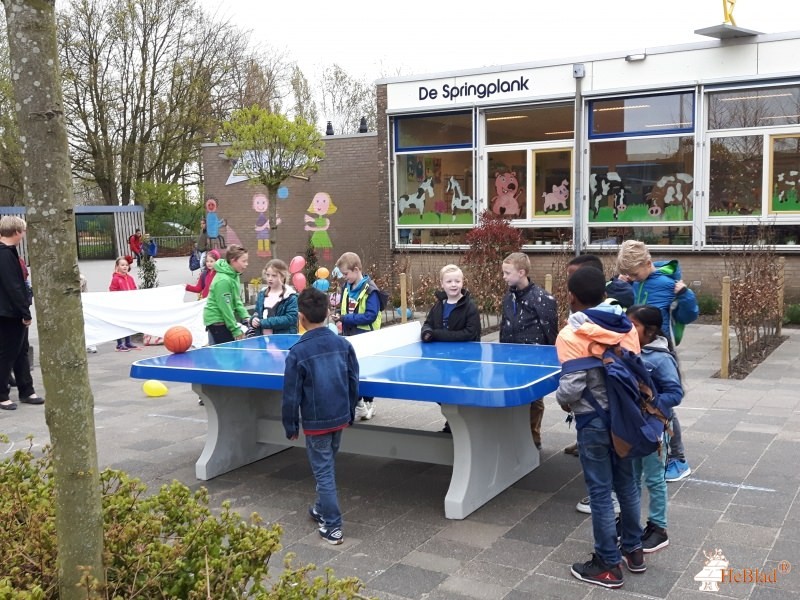 Obs de Springplank uit Hazerswoude