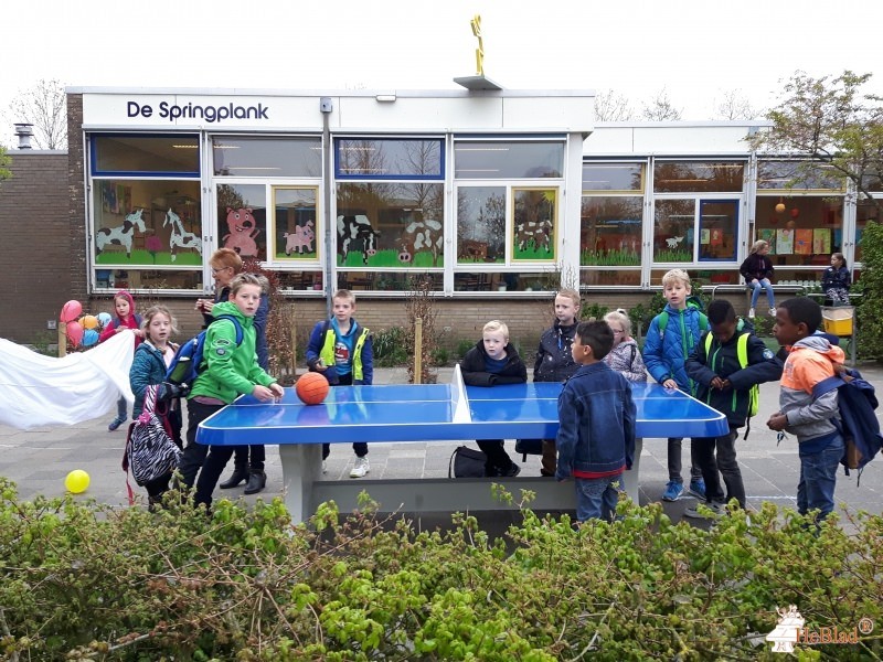 Obs de Springplank uit Hazerswoude