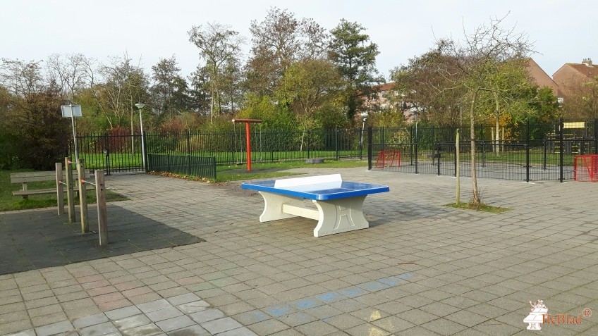 OBS De Houthoeffe uit Hellevoetsluis