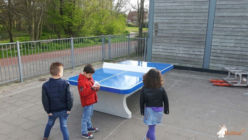 RKBS De Hofstee uit Julianadorp