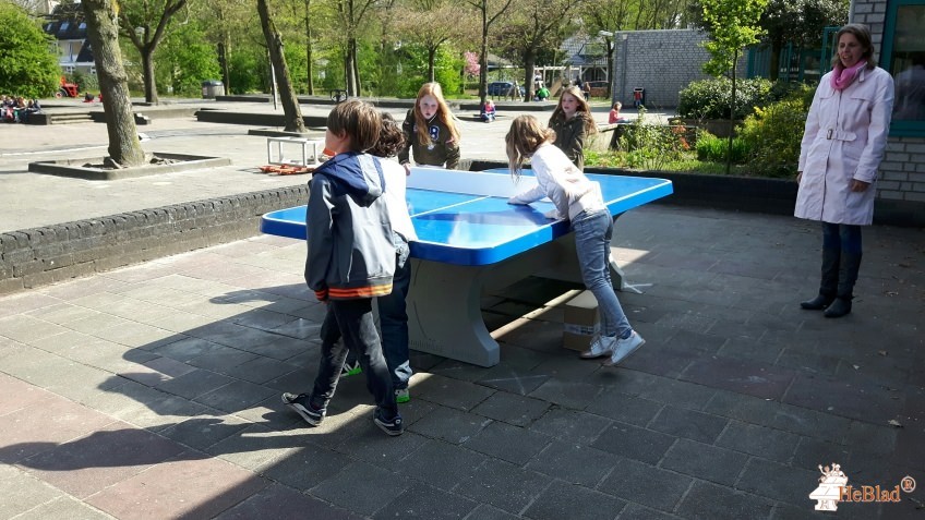 Basisschool Den Duin uit Made