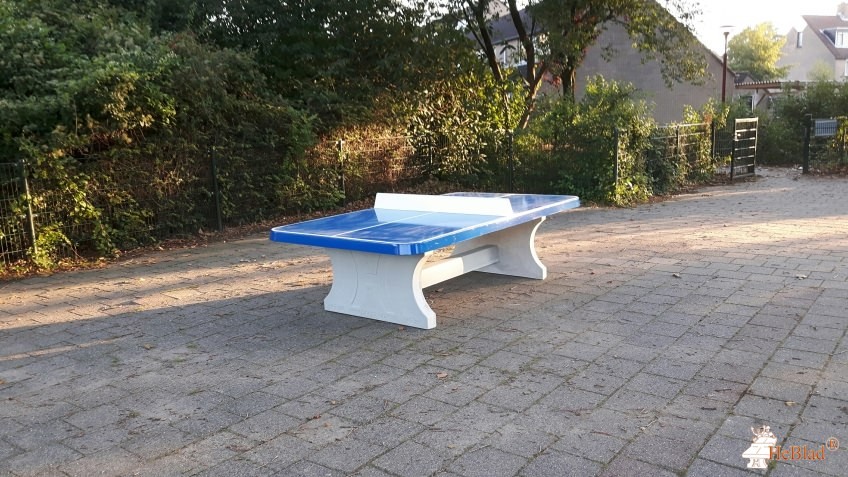 Vroonestein uit Nieuwegein