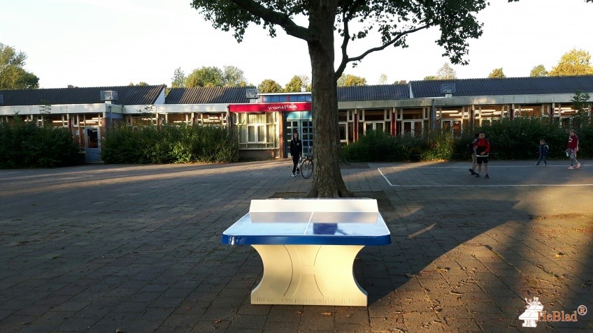 Vroonestein uit Nieuwegein