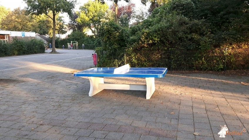 Vroonestein uit Nieuwegein