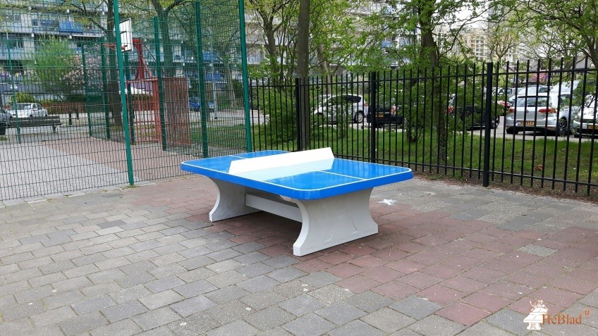 Petrusschool uit Rijswijk