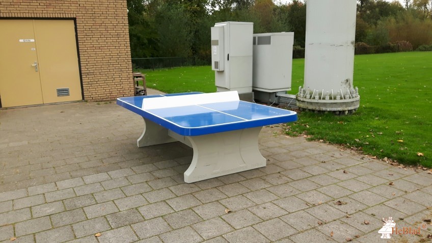 OZC korfbal vereniging uit Rotterdam