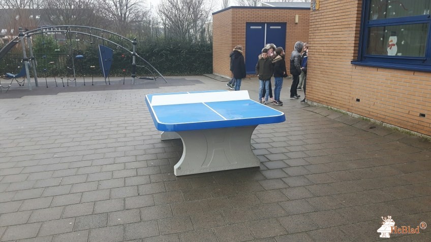 Basisschool De Regenboog uit Schiedam