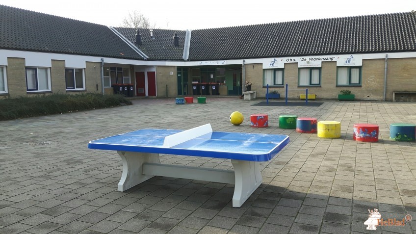 basisschool De Vogelenzang uit Spijkenisse