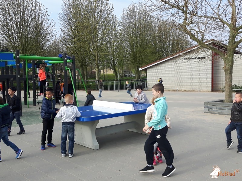 Basisschool Het Kofschip uit Zevenaar