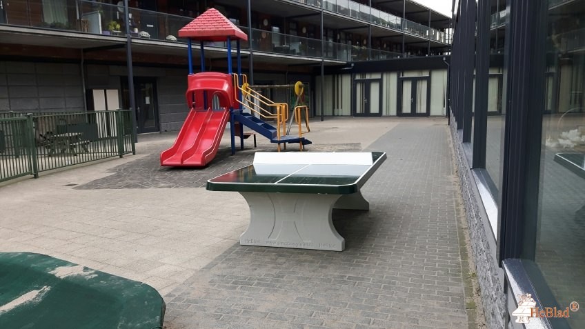 schoolplein de Zes Wielen uit Alkmaar