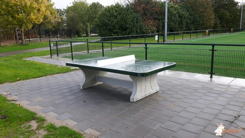 Sporthal Elderveld uit Arnhem