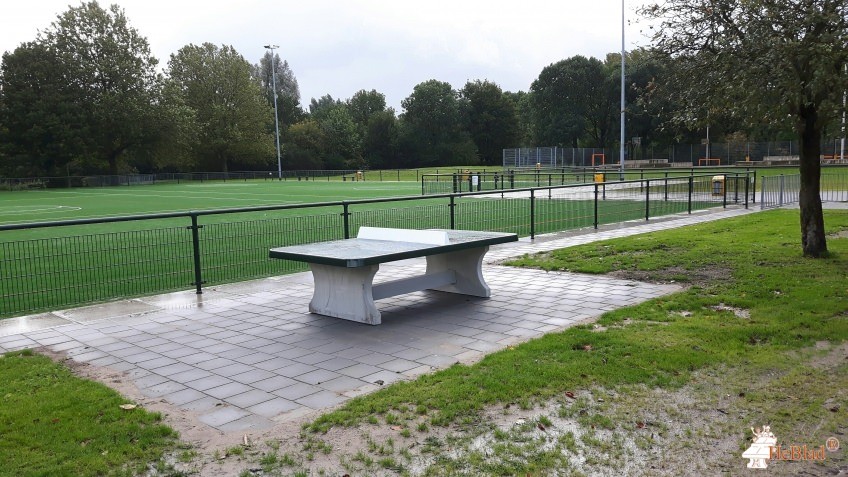 Sporthal Elderveld uit Arnhem