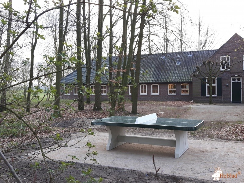 Vorselse Molen uit Bladel
