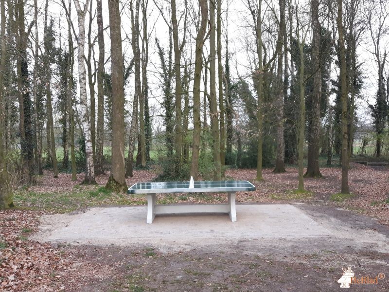 Vorselse Molen uit Bladel