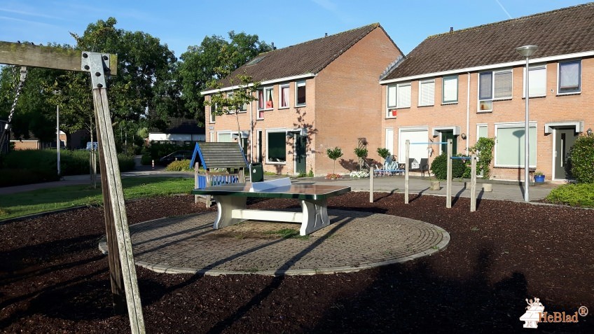Bodegraven uit Bodegraven