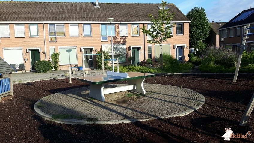 Bodegraven uit Bodegraven