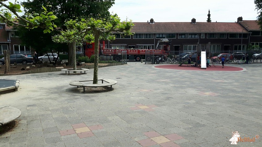 Dordtse Vrije School uit Dordrecht