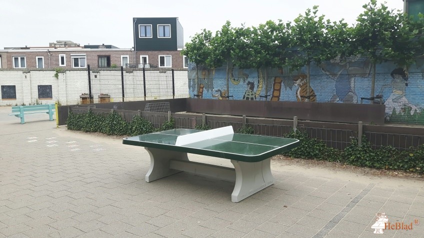 Sint Bavoschool uit Haarlem