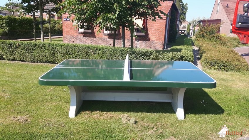 Dorpsbelangen Leens uit Leens