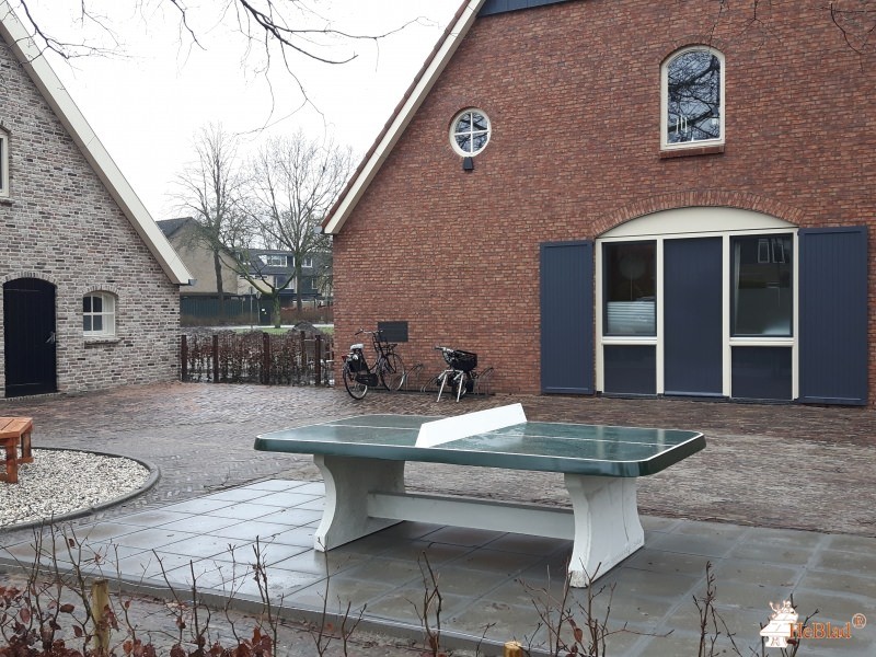 Stichting Grasboom Leusden uit Leusden 