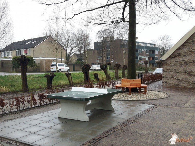 Stichting Grasboom Leusden uit Leusden 